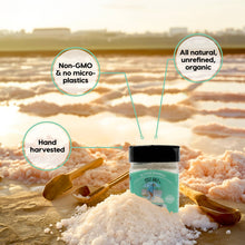 Shaker of Fine Ground Celt Salt- (1/2 lb) 8 oz.