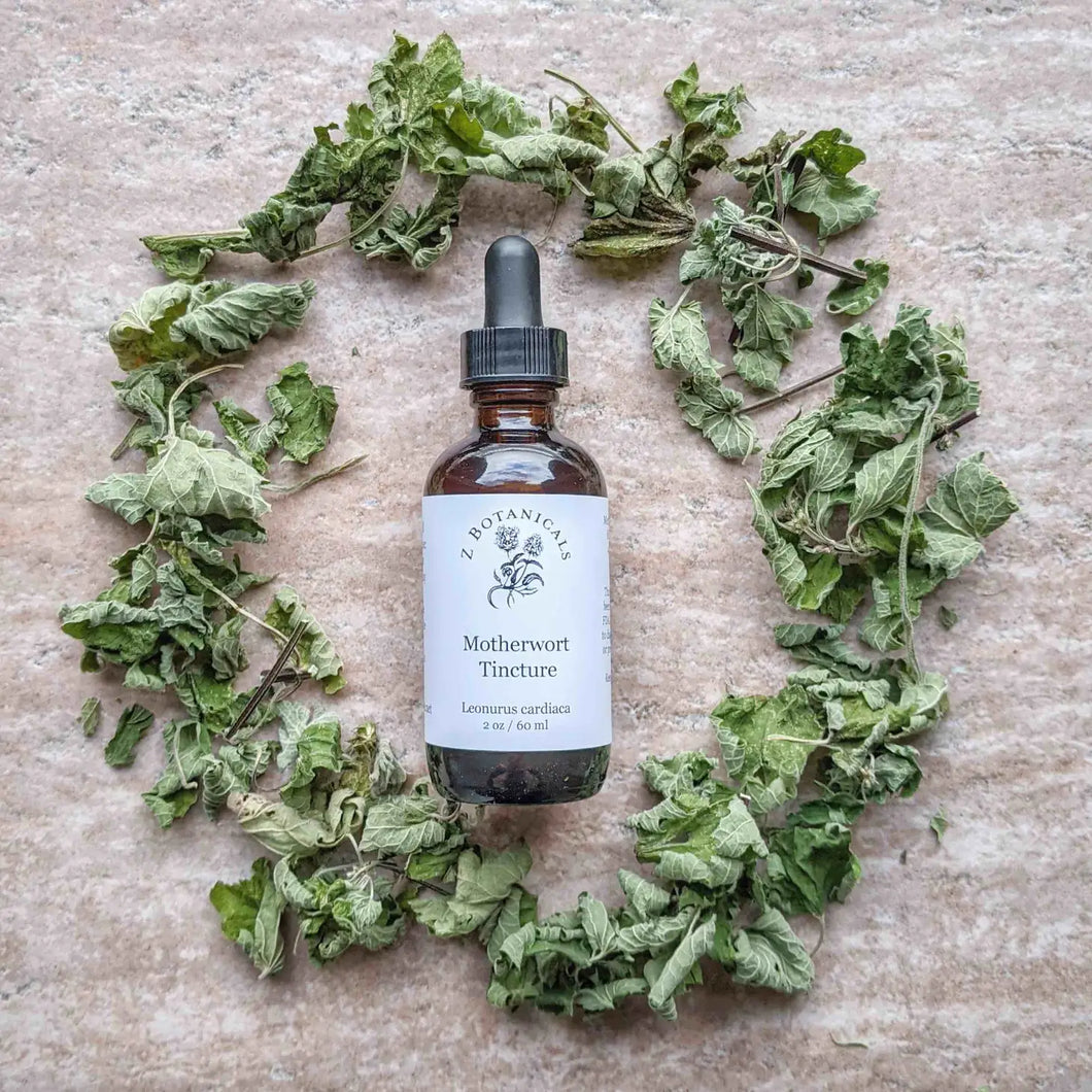 Motherwort Tincture | 2 oz