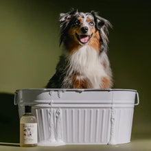 Dog Wash | 16oz
