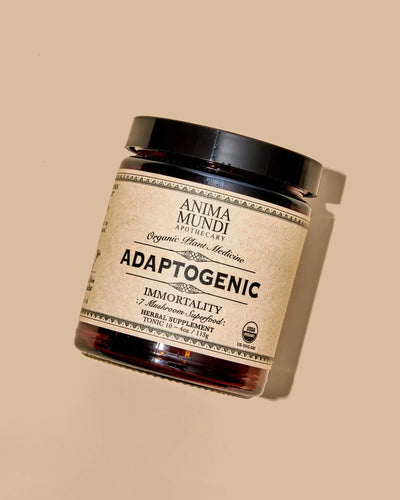 Adaptogenic Powder | Organic, 7 Medicinal Mushrooms + Cacao