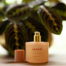 Eau De Parfum | Ginger June