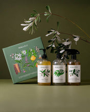 Koala Eco Home Gift Collection | Set of 3