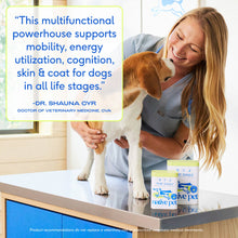 The Daily Powder Supplement, 11-in-1 Multivitamins for Dogs: 7oz