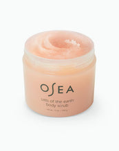 Salts of Earth Body Scrub || IN-STORE PICKUP ONLY