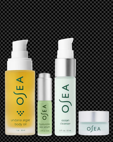 Bestsellers Discovery Set