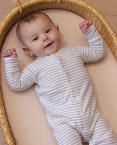 Take Home Set | Fog Stripe