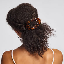 Tortoise | Large Flat Cloud Clip