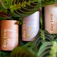 Day Two Natural Dry Shampoo