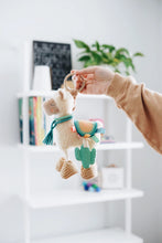 Activity Plushies | Teething Toys