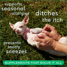 Allergy & Immune Chews, an Allergy & Itch Relief Supplement : 30 chews