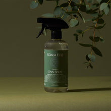 Laundry Stain Spray