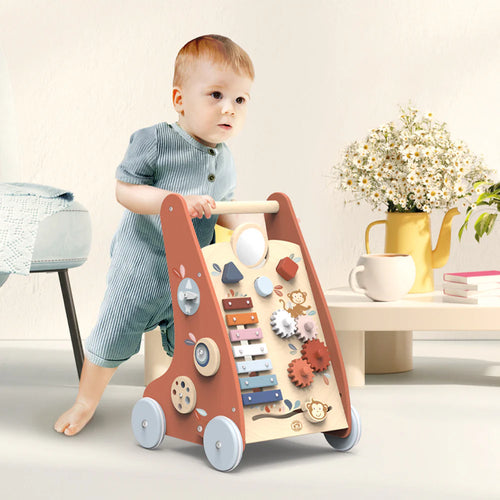 Activity Push Toy