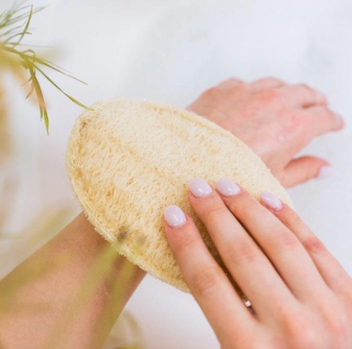 Oval Loofah Sponge 3 Pack