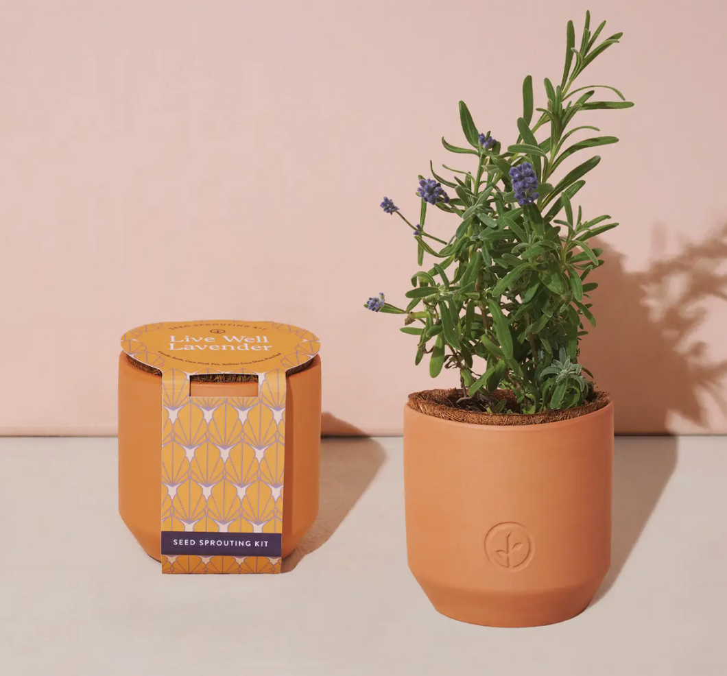 Tiny Terracotta Grow Kit