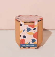 Tiny Terracotta Grow Kit