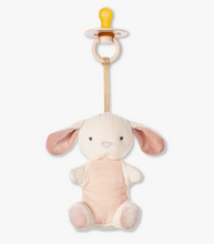 Sweetie Pal Plush & Paci