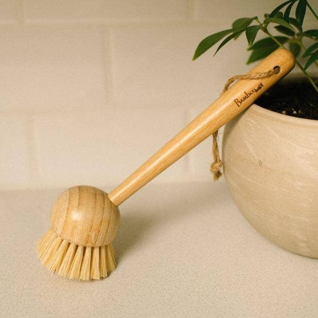 Dish Scrubber